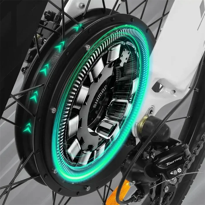 1,000W Motor for Seagull E-Bike by Ecotric
