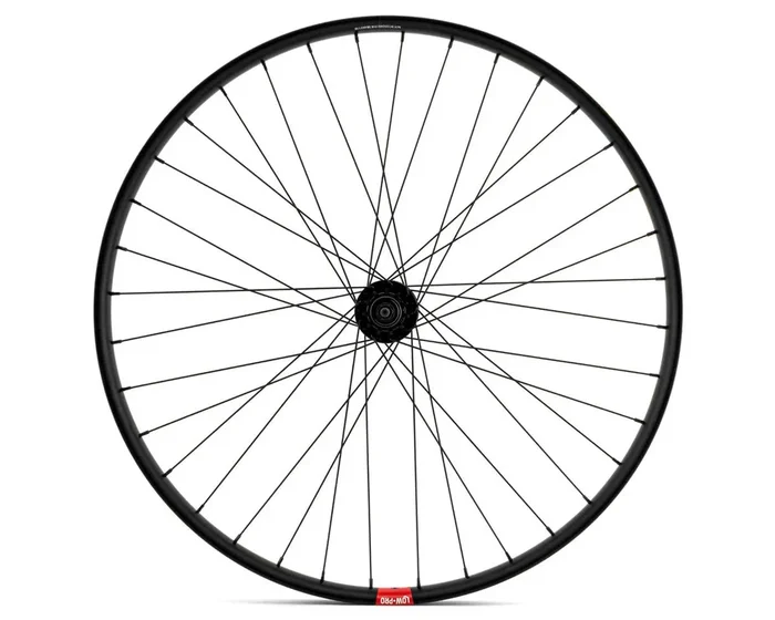 29″ RAMPAGE “BIKE LIFE” DISK WHEELS