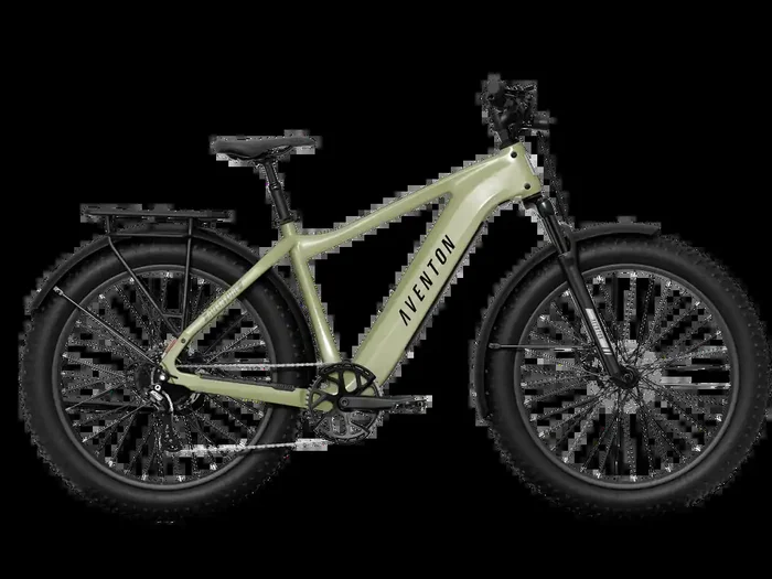 Aventon Aventure 3 Step Over