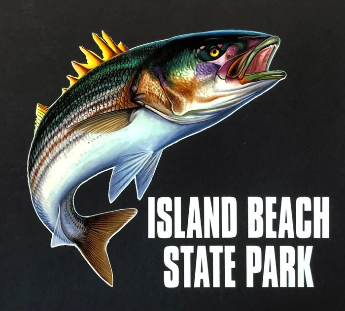Island Beach State Park Striper Decal