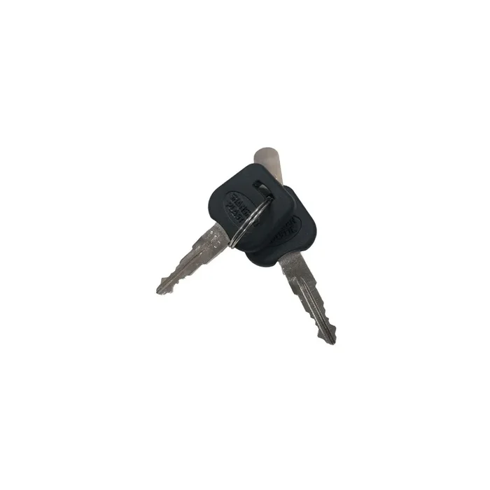 Keys – Replacement Keys for Denago eXC1/eXC2 eMTB (E07/E08)