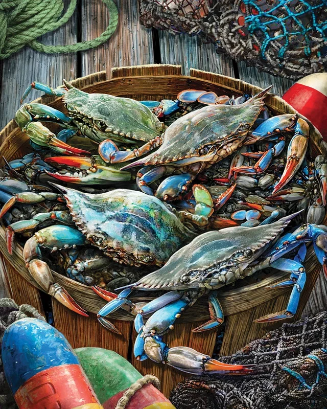 Puzzle – Catch of the Day