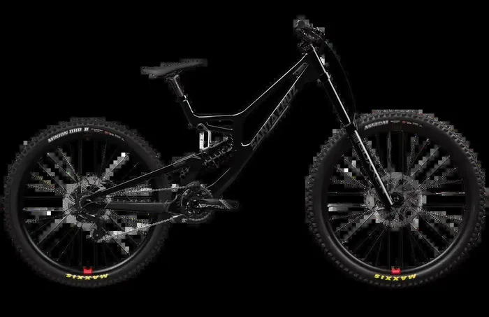 Santa Cruz V10 DH S