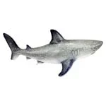 SHARK LARGE 10″ FIGURE