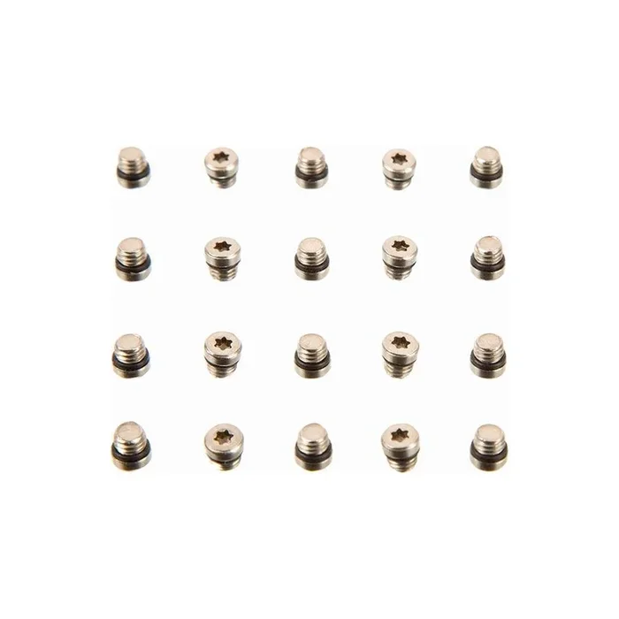 SRAM Lever Bleed Screw 20pcs
