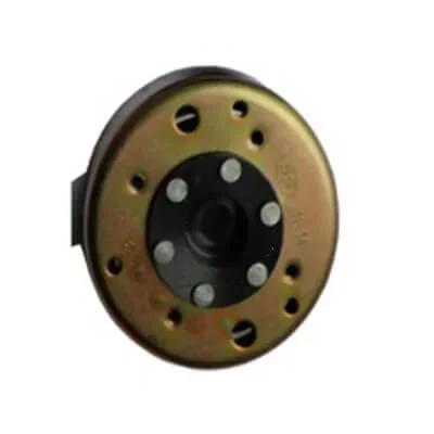TaoTao Replacement MAGNETO ROTOR for 4Fun, Targa 200, Arrow 200, Bull 200S