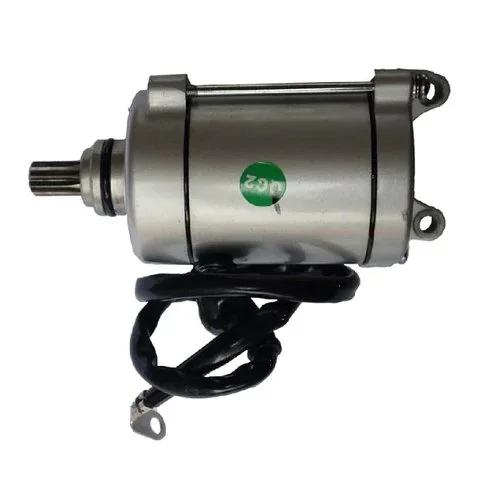 TaoTao Replacement STARTER MOTOR 9 TEETH For Rhino 250 ATV
