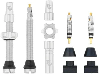 Wolf Tooth Tubeless Valve Stem Kit – 44 mm, Silver